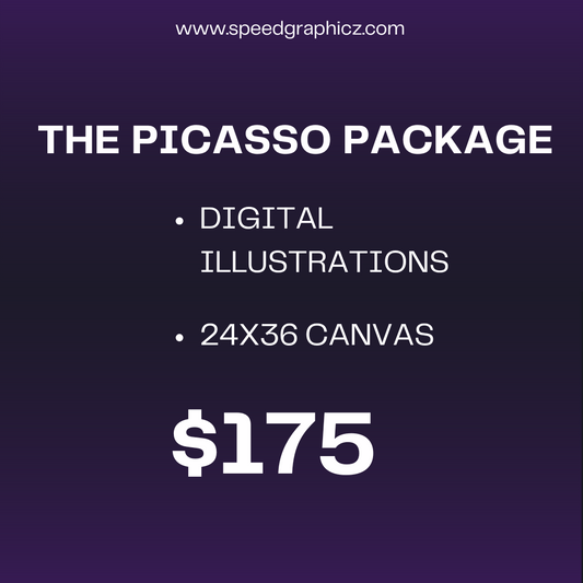 THE PICASSO PACKAGE