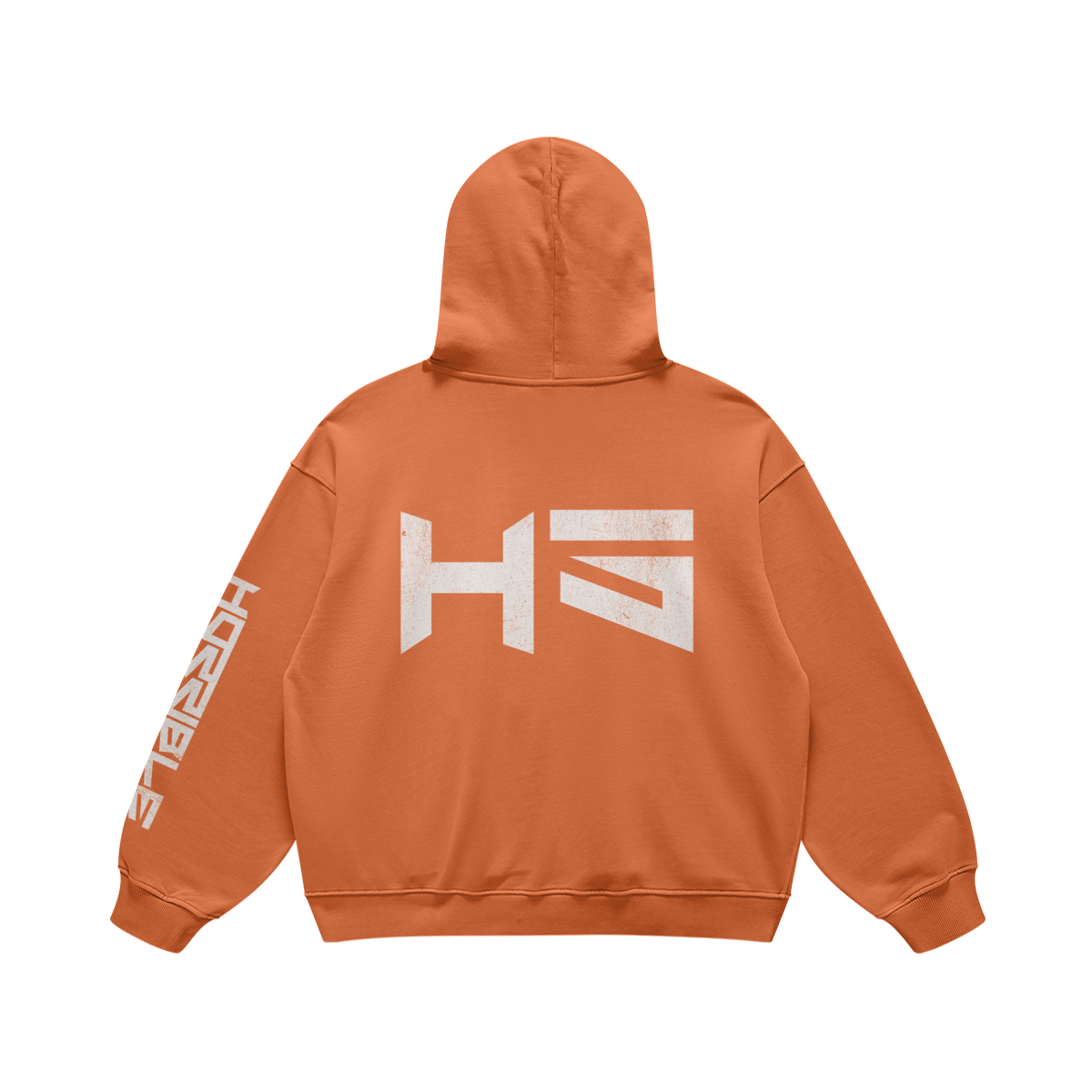 HORRIBLE SOCIETY HOODIE